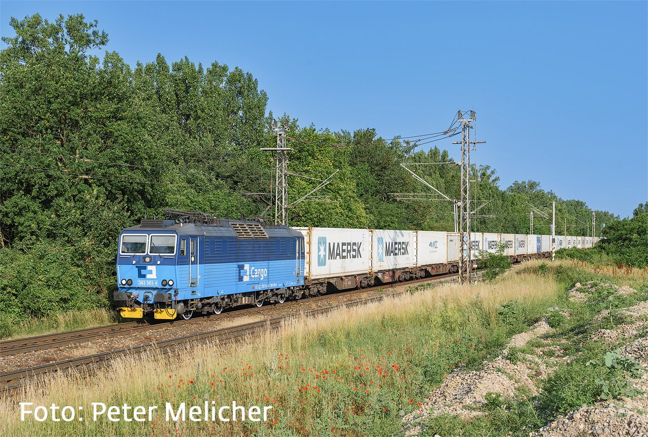 pololeti2025-2